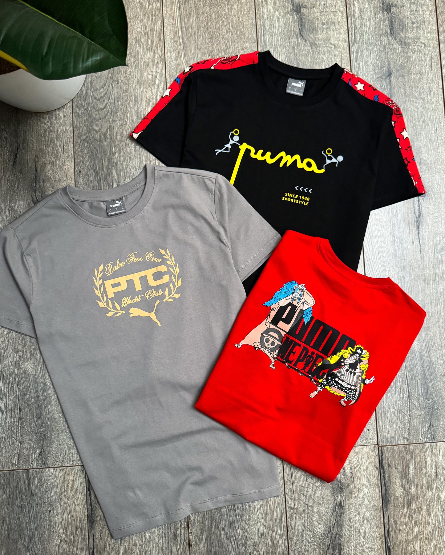 PUMA CREW NECK SMALL CATLOGE -36PCS SET