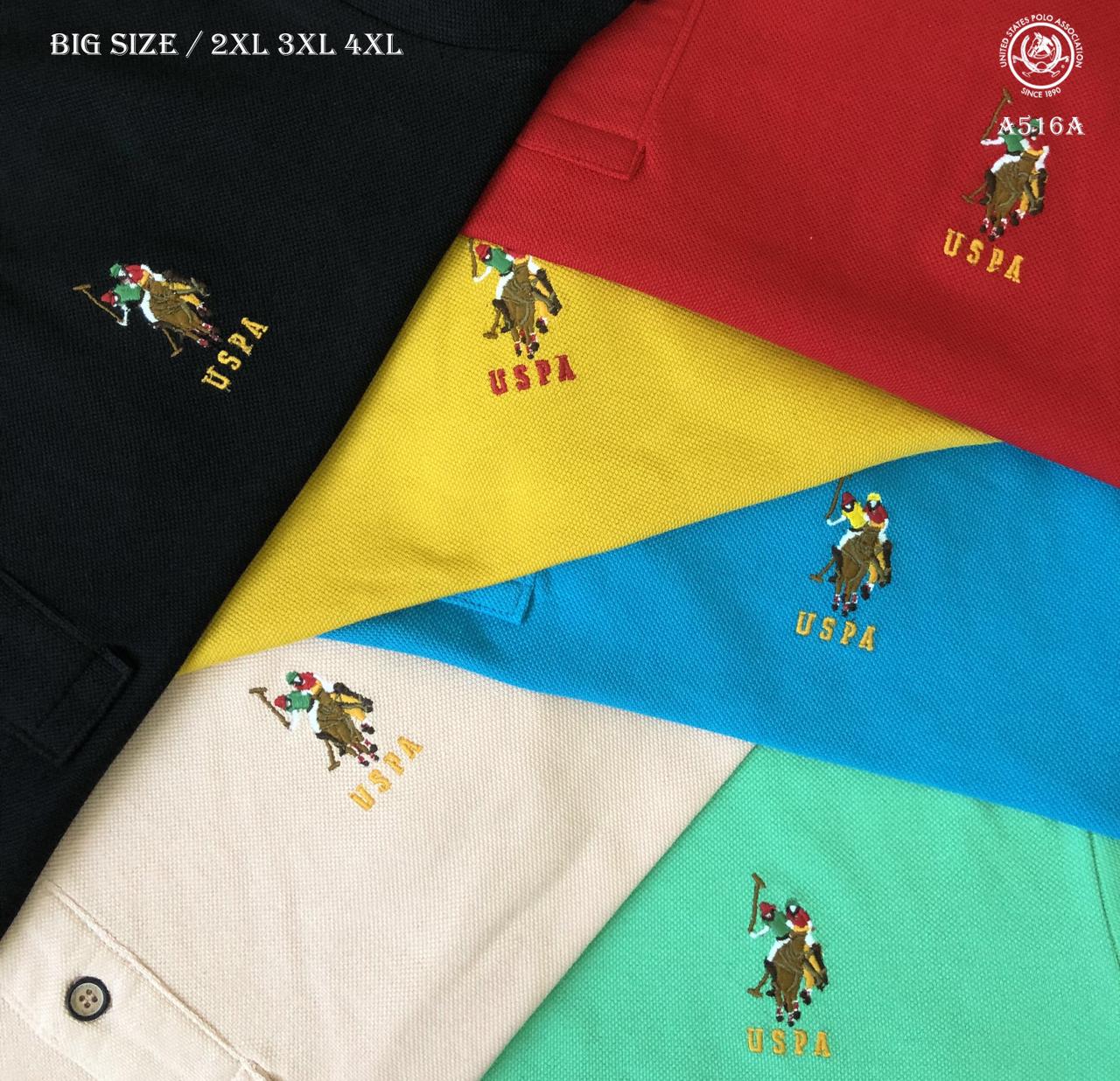 U.S.POLO BIG SIZE COLLAR T-SHIRT-76PCS
