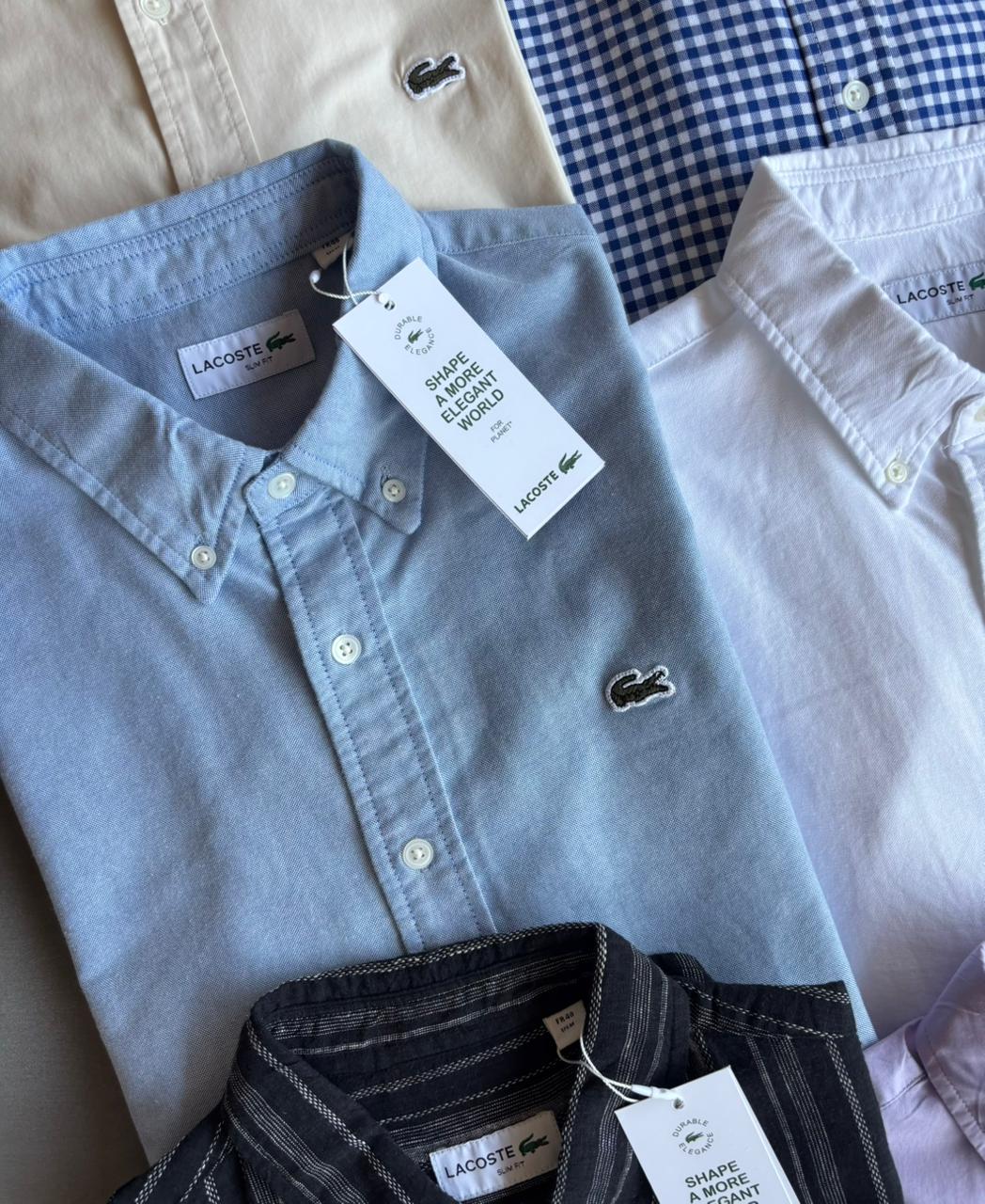 MENS LACOSTE SHIRT -80PCS